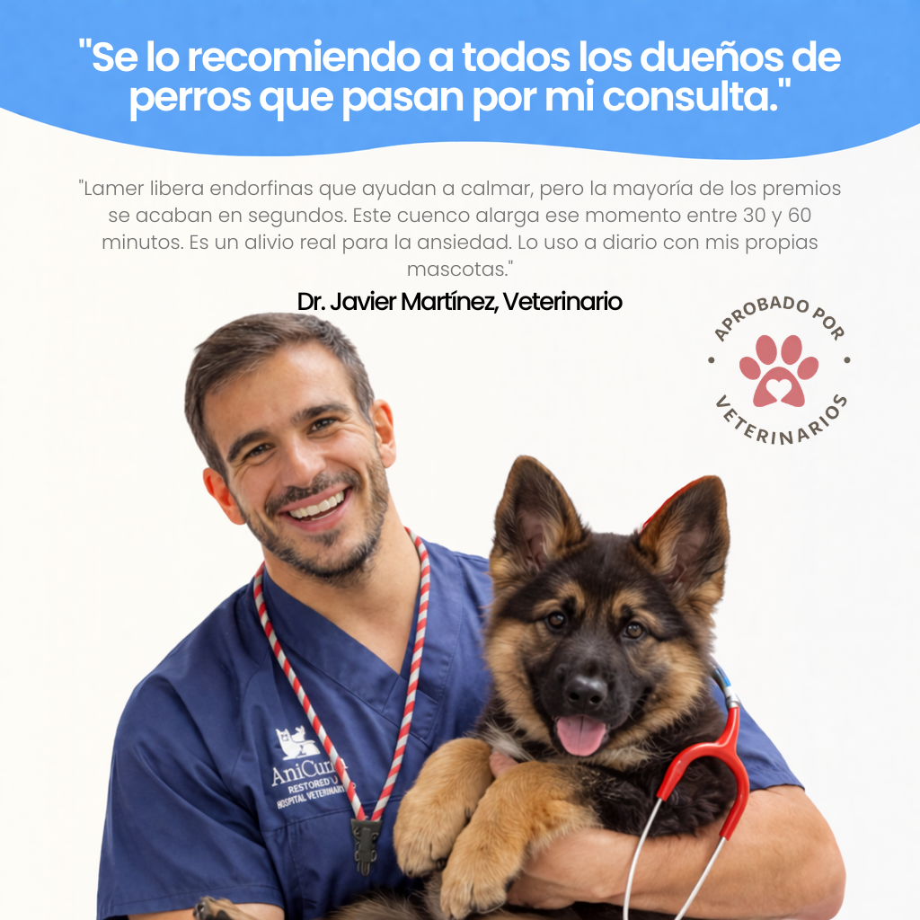 La Hora Más Tranquila Que Jamás Compartirás