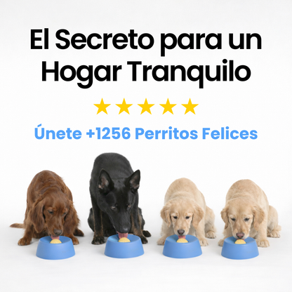La Hora Más Tranquila Que Jamás Compartirás