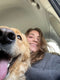 files/My_beautiful_pup.jpg